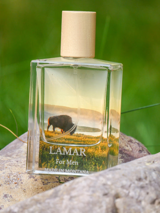 Lamar for Men